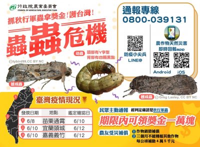 宣導海報.jpg