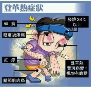 登革熱.jpg